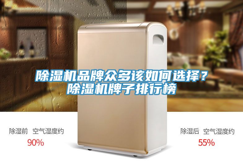 香蕉视频国产品牌眾多該如何選擇？香蕉视频国产牌子排行榜