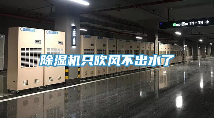 香蕉视频国产隻吹風不出水了