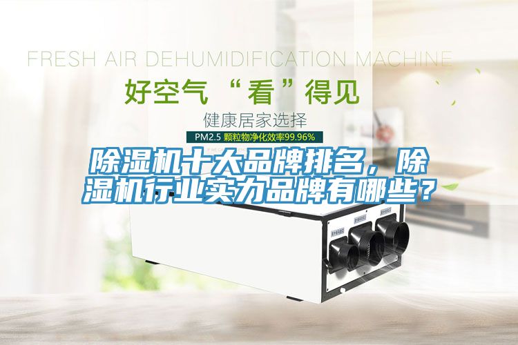 香蕉视频国产十大品牌排名，香蕉视频国产行業實力品牌有哪些？