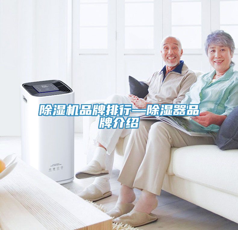 香蕉视频国产品牌排行—除濕器品牌介紹