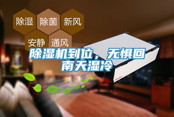 香蕉视频国产到位，無懼回南天濕冷