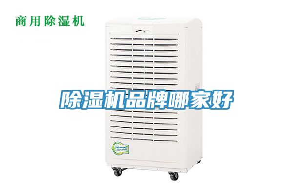 香蕉视频国产品牌哪家好