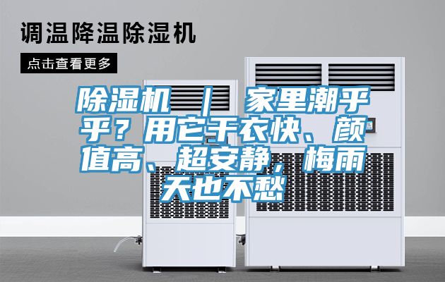 香蕉视频国产 ｜ 家裏潮乎乎？用它幹衣快、顏值高、超安靜，梅雨天也不愁