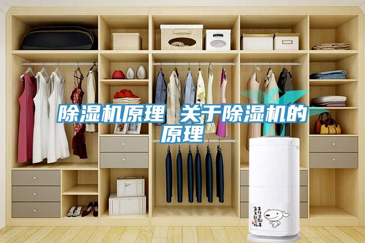 香蕉视频国产原理 關於香蕉视频国产的原理