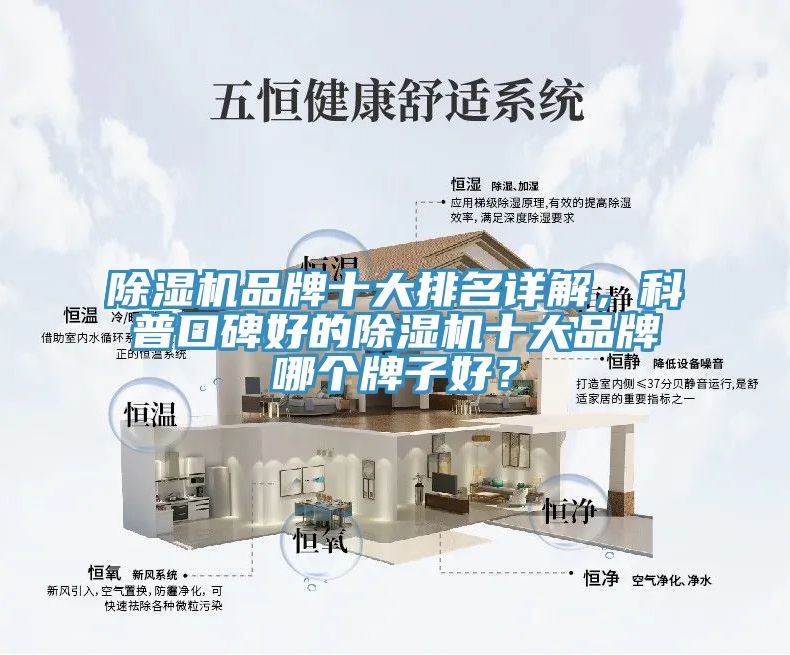 香蕉视频国产品牌十大排名詳解，科普口碑好的香蕉视频国产十大品牌哪個牌子好？