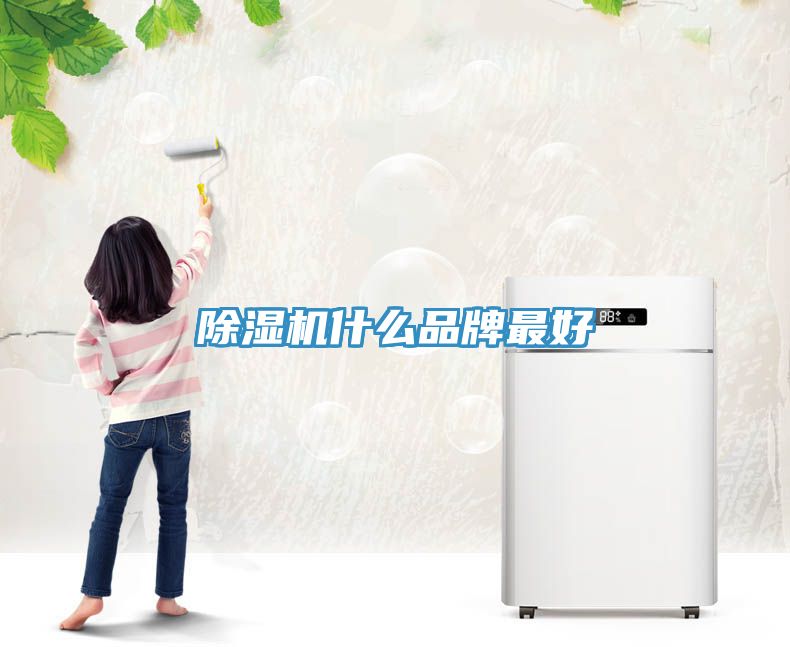 香蕉视频国产什麽品牌最好