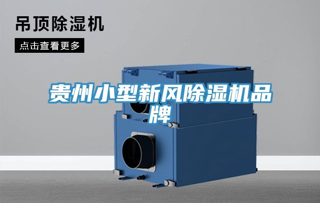 貴州小型新風香蕉视频国产品牌