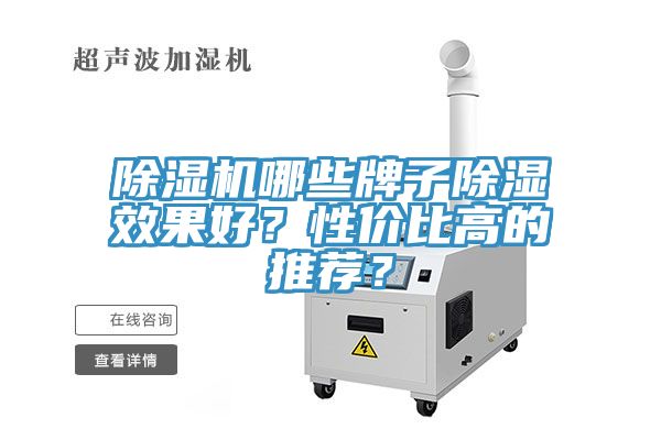 香蕉视频国产哪些牌子除濕效果好？性價比高的推薦？
