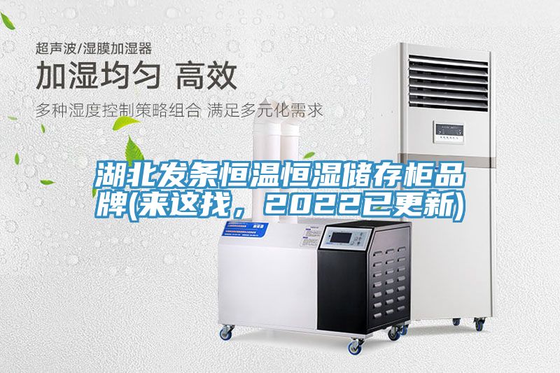 湖北發條恒溫恒濕儲存櫃品牌(來這找，2022已更新)