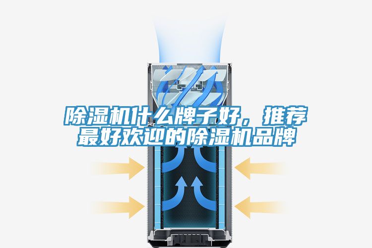 香蕉视频国产什麽牌子好，推薦最好歡迎的香蕉视频国产品牌
