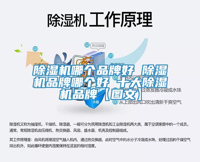 香蕉视频国产哪個品牌好 香蕉视频国产品牌哪個好 十大香蕉视频国产品牌【圖文】