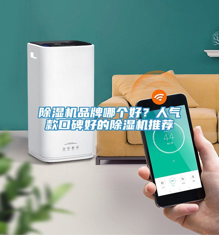 香蕉视频国产品牌哪個好？人氣款口碑好的香蕉视频国产推薦