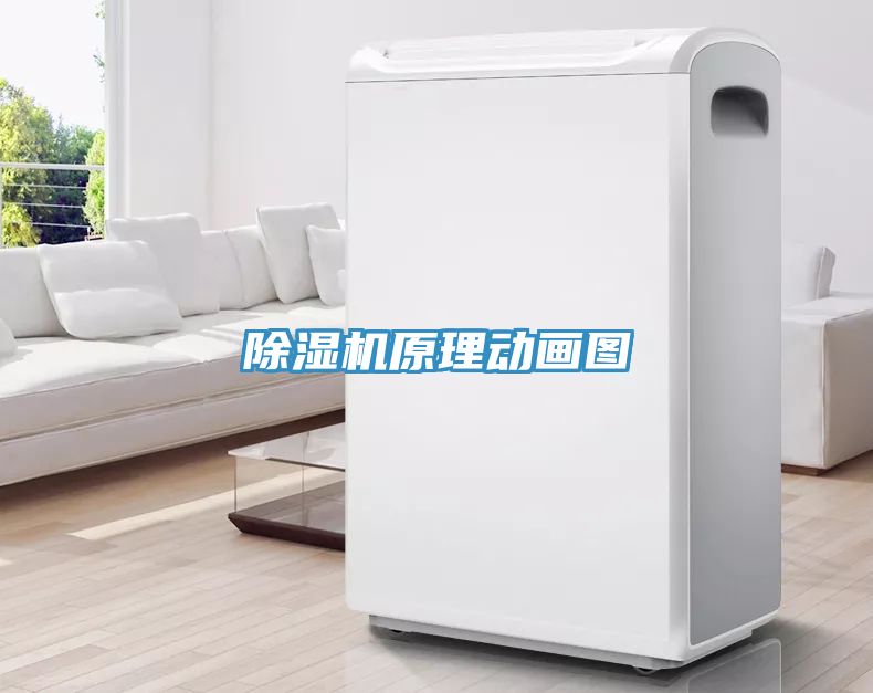 香蕉视频国产原理動畫圖