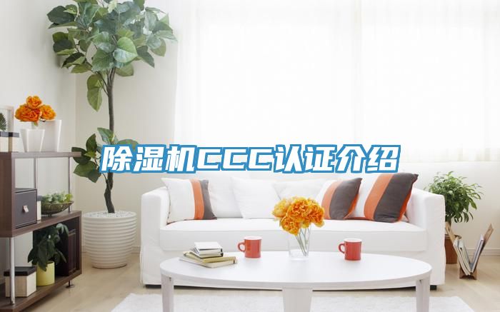 香蕉视频国产CCC認證介紹