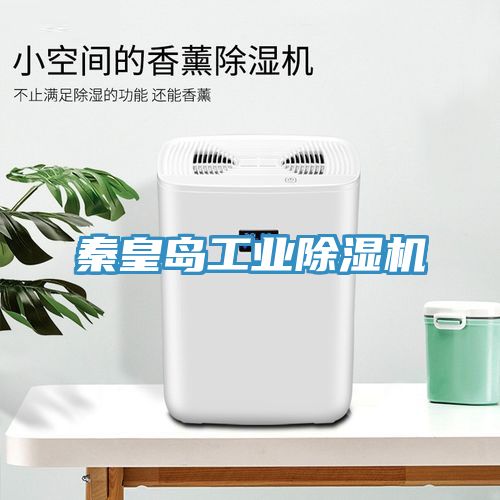 秦皇島工業香蕉视频国产