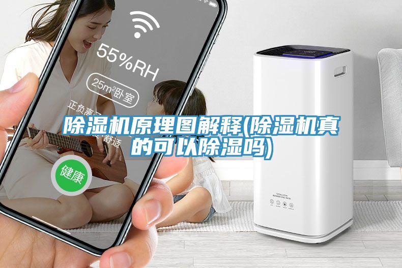 香蕉视频国产原理圖解釋(香蕉视频国产真的可以除濕嗎)