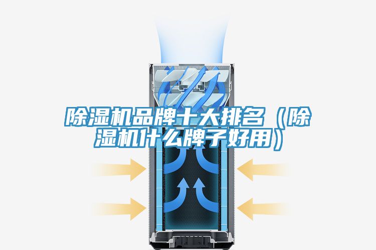 香蕉视频国产品牌十大排名（香蕉视频国产什麽牌子好用）