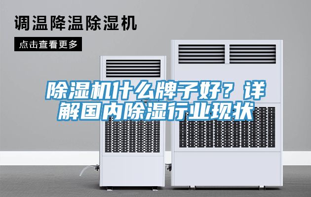 香蕉视频国产什麽牌子好？詳解國內除濕行業現狀