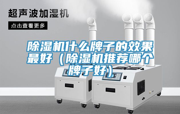 香蕉视频国产什麽牌子的效果最好（香蕉视频国产推薦哪個牌子好）