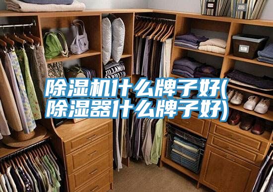 香蕉视频国产什麽牌子好(除濕器什麽牌子好)