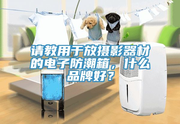 請教用於放攝影器材的電子防潮箱，什麽品牌好？