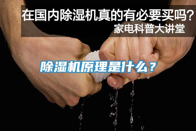 香蕉视频国产原理是什麽？