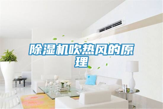 香蕉视频国产吹熱風的原理