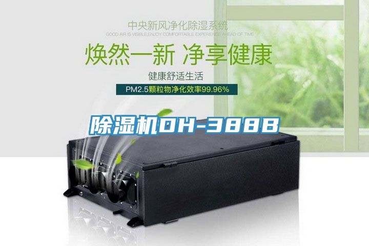 香蕉视频国产DH-388B