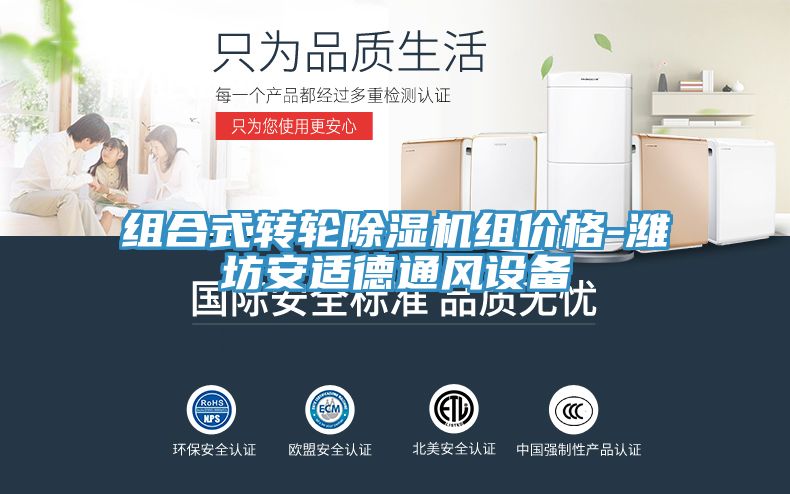 組合式轉輪香蕉视频国产組價格-濰坊安適德通風設備