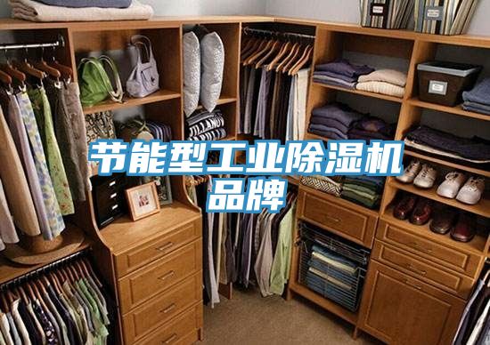 節能型工業香蕉视频国产品牌