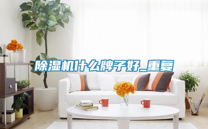 香蕉视频国产什麽牌子好_重複