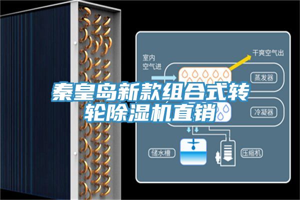 秦皇島新款組合式轉輪香蕉视频国产直銷