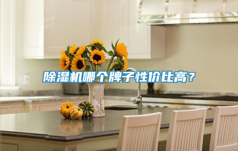 香蕉视频国产哪個牌子性價比高？