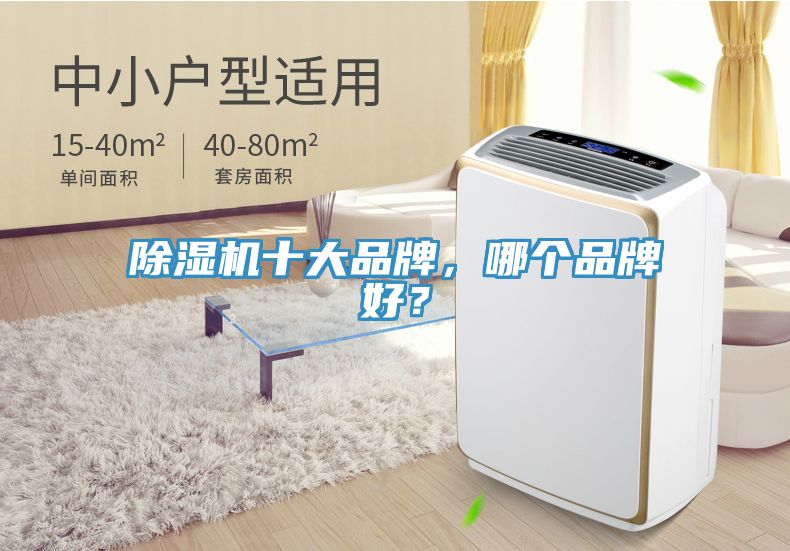 香蕉视频国产十大品牌，哪個品牌好？