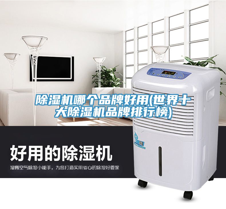 香蕉视频国产哪個品牌好用(世界十大香蕉视频国产品牌排行榜)