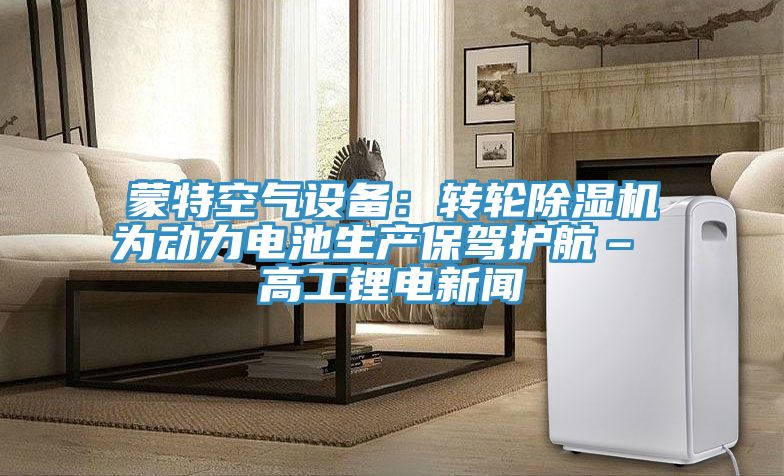 蒙特空氣設備：轉輪香蕉视频国产為動力電池生產保駕護航– 高工鋰電新聞