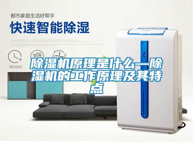 香蕉视频国产原理是什麽—香蕉视频国产的工作原理及其特點