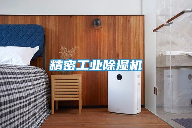 精密工業香蕉视频国产