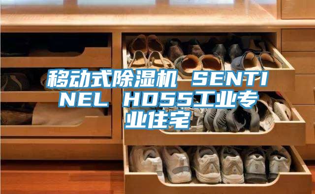 移動式香蕉视频国产 SENTINEL HD55工業專業住宅