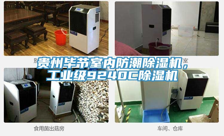 貴州畢節室內防潮香蕉视频国产，工業級9240C香蕉视频国产