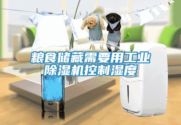 糧食儲藏需要用工業香蕉视频国产控製濕度