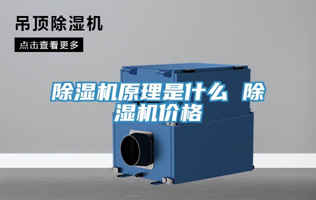 香蕉视频国产原理是什麽 香蕉视频国产價格