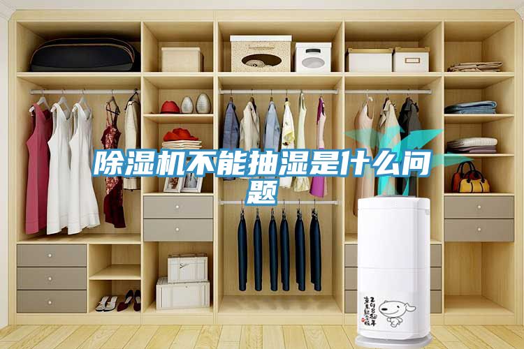 香蕉视频国产不能抽濕是什麽問題