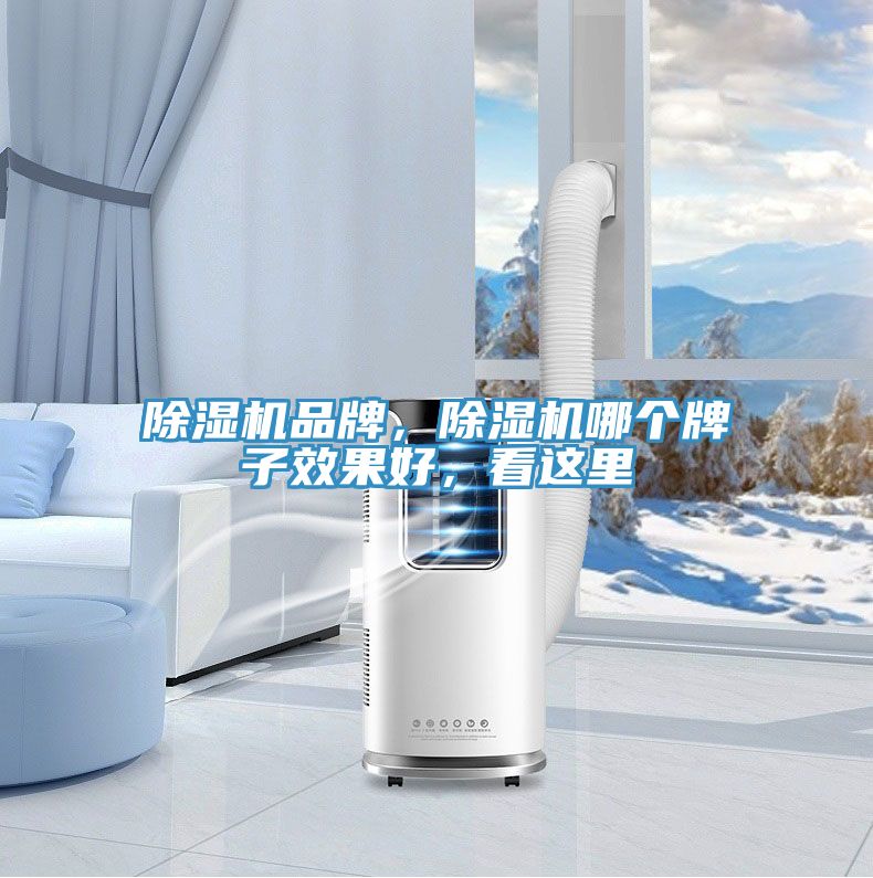 香蕉视频国产品牌，香蕉视频国产哪個牌子效果好，看這裏