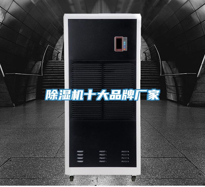 香蕉视频国产十大品牌廠家
