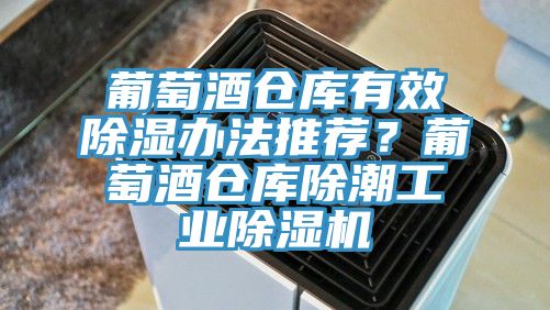 葡萄酒倉庫有效除濕辦法推薦？葡萄酒倉庫除潮工業香蕉视频国产