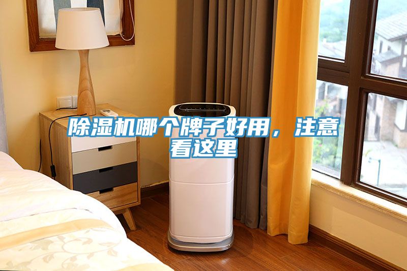 香蕉视频国产哪個牌子好用，注意看這裏