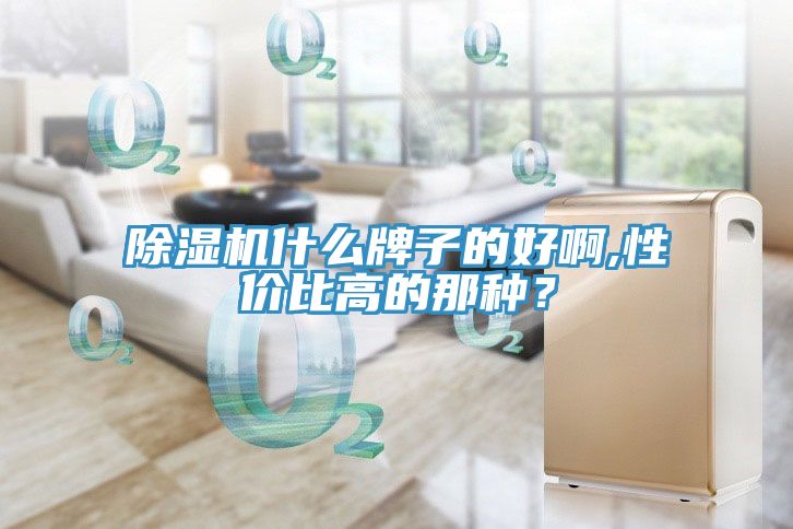 香蕉视频国产什麽牌子的好啊,性價比高的那種？