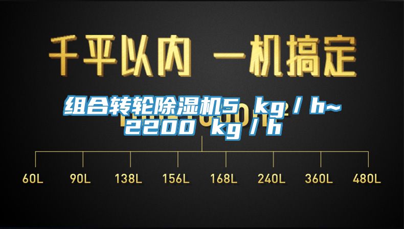 組合轉輪香蕉视频国产5 kg／h~2200 kg／h
