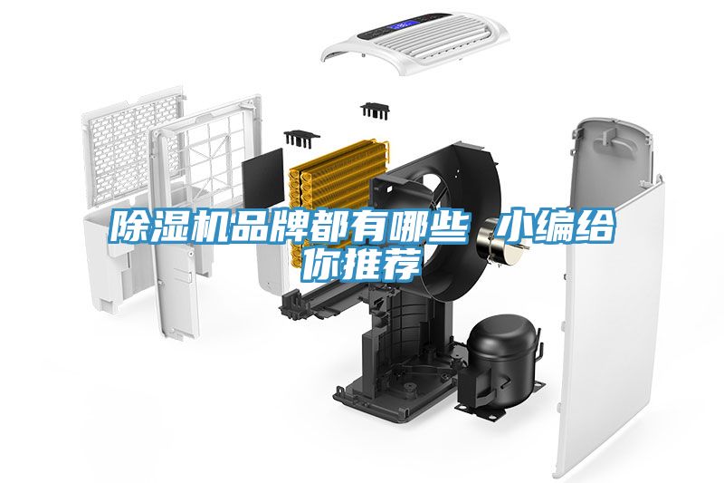 香蕉视频国产品牌都有哪些 小編給你推薦